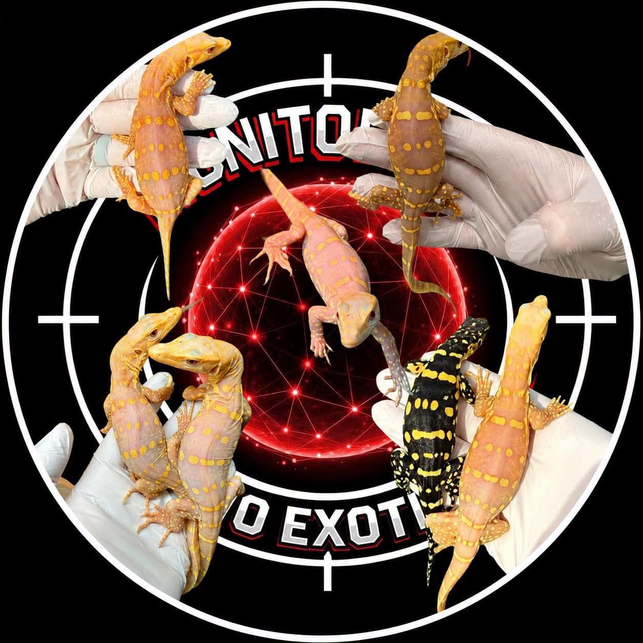 A selection of Monitor Ops water monitors